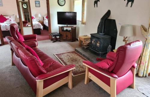 Plwmp Casa | Ddol Cottage Traditional Coastal cottage nr Llangrannog & New Quay with Donkeys