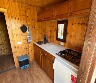 Nieuwe Niedorp Otro | De Fuut