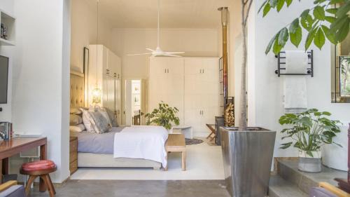 Prince Albert Casa | De Kleine Prince - A Reimagined Village Home