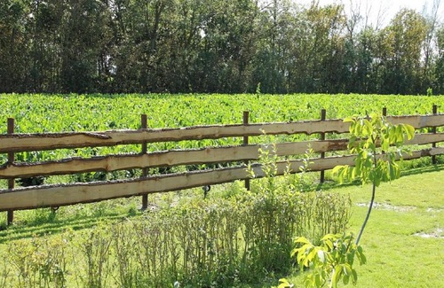 Sint Maartensdijk Casa | De Puntschuur