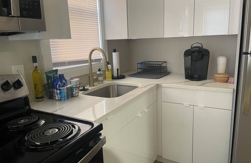 Dearborn Apartamento | Dearborn #1 Modern and Cozy 1-bedroom apartment with WiFi, AC, Henry Ford Museum