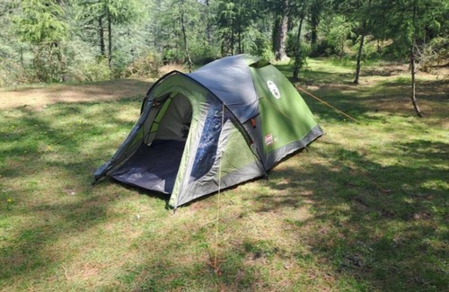 Shimla Alquiler De RV | Delicate camp E
