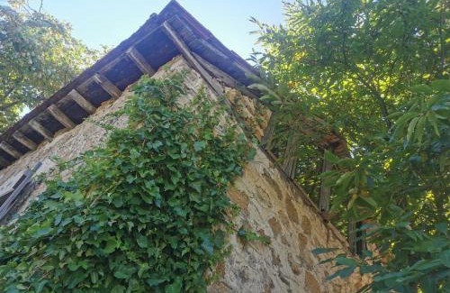 Arnaia Casa | Dendrocopos Medius