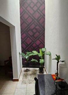 San Antonio de la Cal Apartamento | Depa Púrpura Caracol