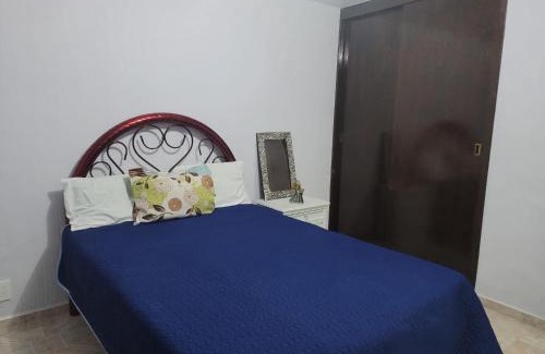 Irapuato Apartamento | Depa Zona centro