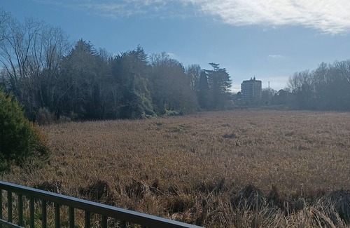 Valdivia Apartamento | Departamento céntrico Isla teja 19