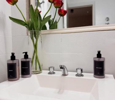 Posadas Apartamento | Departamento pleno centro