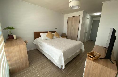 Valdivia Apartamento | Departamento Studio Isla Teja