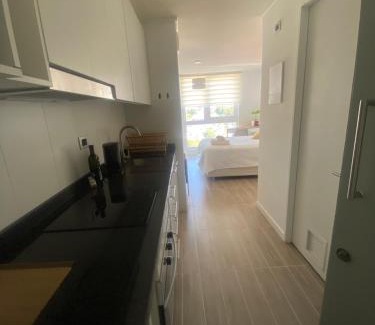 Valdivia Apartamento | Departamento Studio Isla Teja