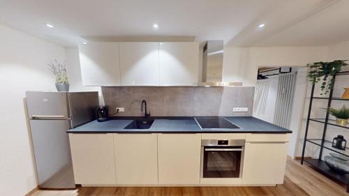 Freiburg im Breisgau Apartamento | Der Platzhirsch - Design-Apartment in grüner Oase