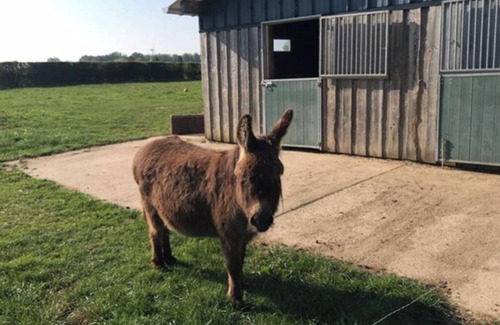 Pommereval Casa | Detached house in the countryside
