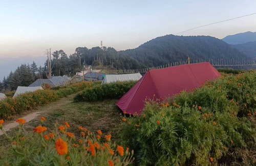 Dalhousie Cabaña | DhaulaPir Adventure