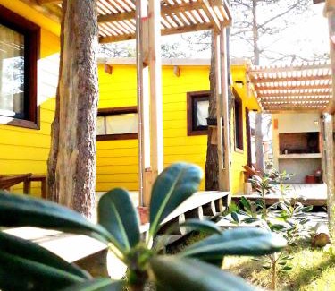 Punta del Diablo Cabina | DiaBro's