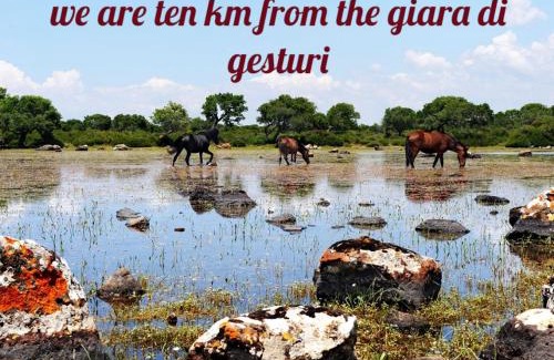 Villamar Apartamento | DiamanteSardo camera e bagno privato