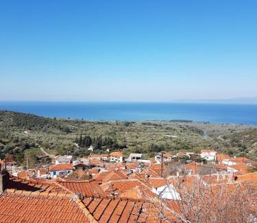 Kallirakhi Casa | Dimitra's Garden Villa