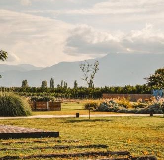 Vista Flores Cabina | Dobe Lodge