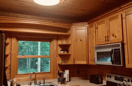 Franklin Cabina | Dog Friendly Secluded Cabin Hideaway in Franklin