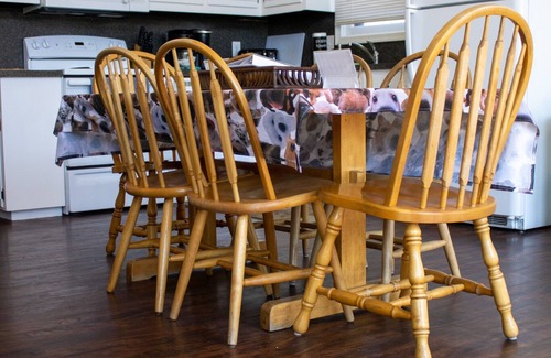 Saylorsburg Chalet De Esquí | Dog Lover's Chalet w/ Fenced Yard, AMAZING VIEW 10mi to Camelback/Hiking/Casino