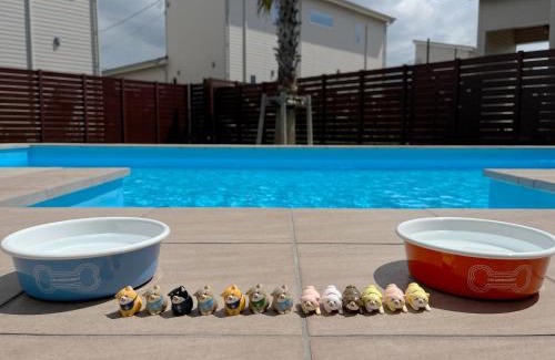 Futtsu Casa | Dog Resort D&K-ドッグリゾートD&K-