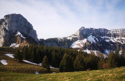 La Roche-sur-Foron Apartamento | Domaine de la Griffe - Appartement "Sous Dine"