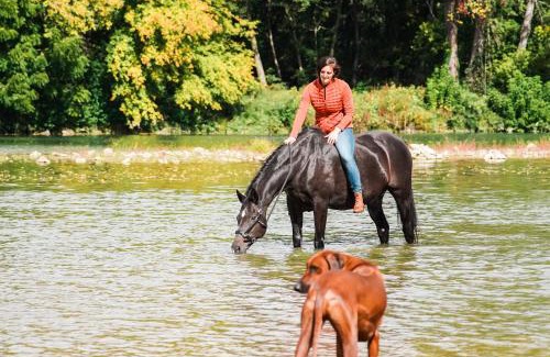 Cardet Apartamento | Domaine des Églantiers