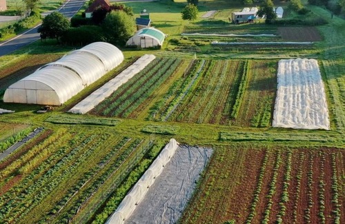 Munchweiler an der Rodalb Casa | Habitación doble con ducha / WC - Landidyll Hotel Klostermühle