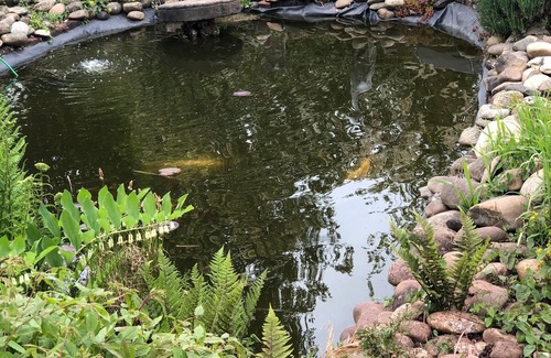 Rieschweiler-Muhlbach Apartamento | Vrbo Property