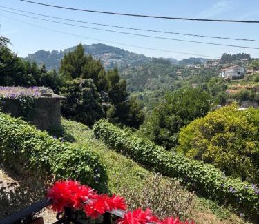 Bitetos Casa | dourobluehouse