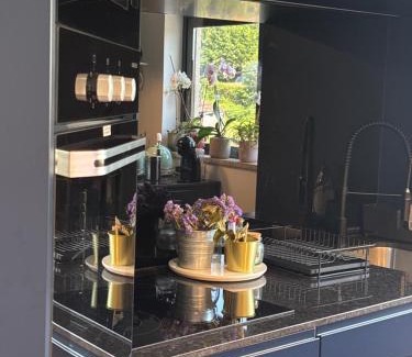 Bitetos Casa | dourobluehouse