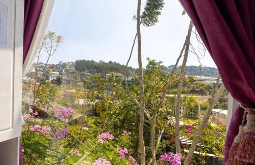 Da Lat Complejo | Dream Flower Dalat Hotel