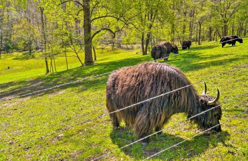 Crossville Casa | Dreamy Homestead Escape Patio, Ranch On-Site