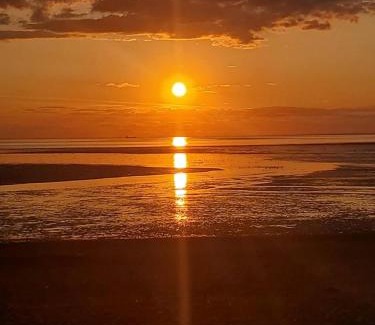 Holme Casa | Driftwood Cottage Holme next the sea pets go free