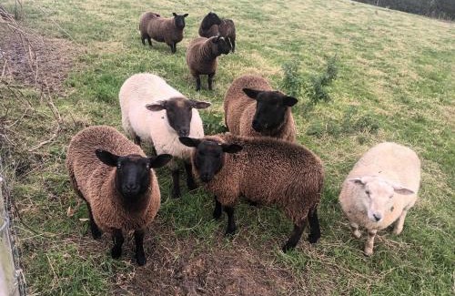 Bready Casa | Drumgauty Cottage