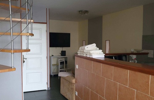 Roanne Apartamento | DUPLEX FACING THE LOIRE (APT N°03)