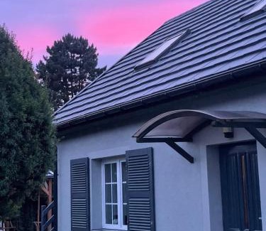 Orlinki Apartamento | Dzika Foka Wiosłowa 49