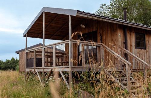 Ecaussinnes Cabina | Ecau Lodge - Logement insolite à 30km de Pairi Daiza