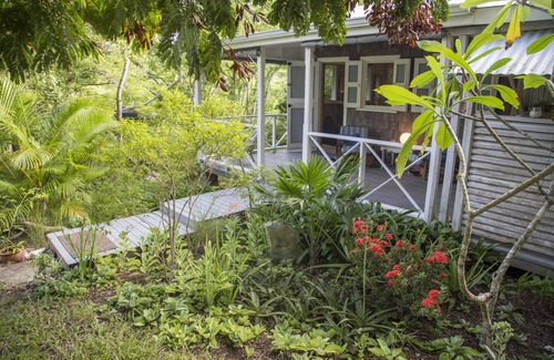 John Hughes Cabina | Cabaña ecológica en el remoto bosque caribeño