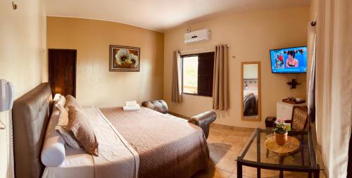 Curuca Hotel | Eco Hotel Leão de Judá - All Inclusive