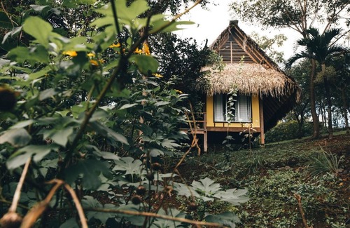 Las Escobas del Venado Cabina | Eco Venao
