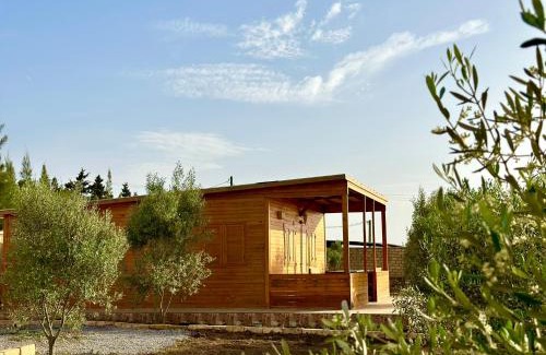 Fdalate Chalet De Esquí | Ecolodge Vert, Benslimane