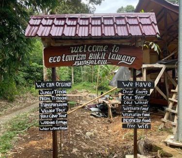 Bohorok Hotel | Ecotourism Bukit Lawang Bungalow