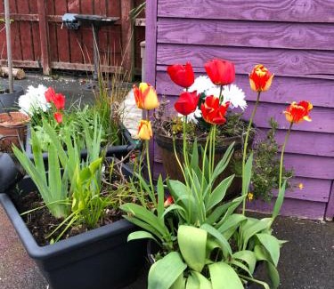 Carlingford Casa | Eden House