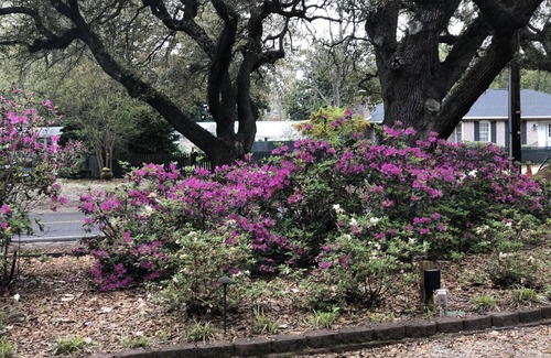 Aiken Cabaña | Casa de la eficiencia en el histórico Aiken
