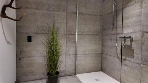 Ruy Apartamento | Eh ma biche