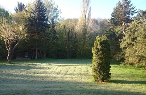 Hasenfeld Casa | Eifel - + fiesta con amigos de la familia: casa grande, terraza, maravillosa ubicación