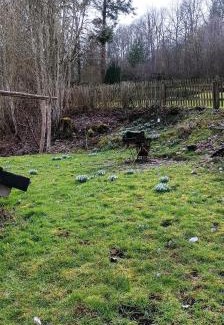 Obere Kyll Apartamento | Eifelerlebnis