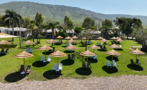 Ein Gev Hotel | Ein Gev Holiday Resort