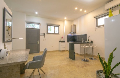 Barrio Centro Apartamento | El Cactus Luxury Apartments in Historic Center