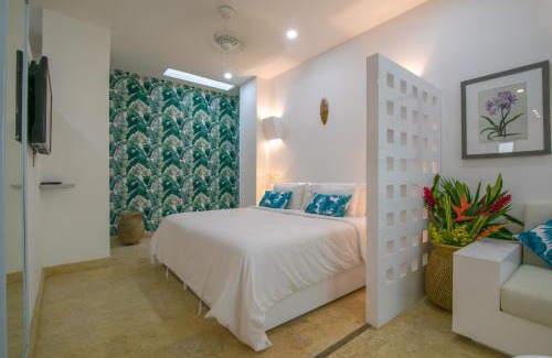 Barrio Centro Apartamento | El Cactus Luxury Apartments in Historic Center