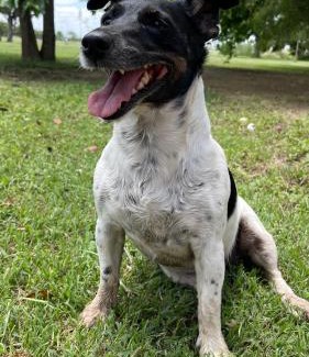 Diego Gaynor Casa | El campito